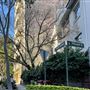 Rushcutters Bay