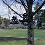 Allview Escape at Blackheath