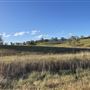 Stony Creek Farmland