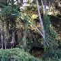 Nambucca Heads Swimming Creek