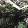 Nambucca Heads Swimming Creek