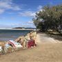 Nambucca Heads