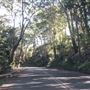 Nambucca Heads