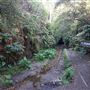 Helensburgh Suburb