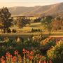 Hartvale Gardens and Cottage