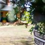 Tranquil Vale Boutique Vineyard