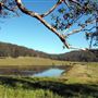 Tocal Farm