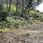 Deep Creek Reserve