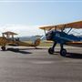 Maitland Airport
