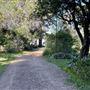Elizabeth Farm