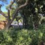 Elizabeth Farm
