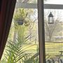 Winbourne Estate Country Bed and Breakfast