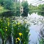 Wentworth Park