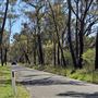 Buxton NSW