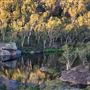 Dunns Swamp