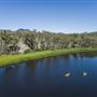 Dunns Swamp