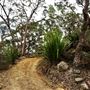Glenworth Valley Wilderness Adventures