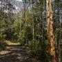 Glenworth Valley Wilderness Adventures