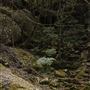 Glenworth Valley Wilderness Adventures