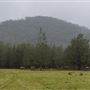 Glenworth Valley Wilderness Adventures