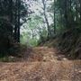 Glenworth Valley Wilderness Adventures
