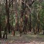Glenworth Valley Wilderness Adventures