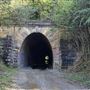 Picton Mushroom Tunnel
