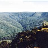 Barrington Tops National Park