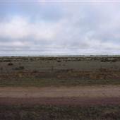 Hay Plains