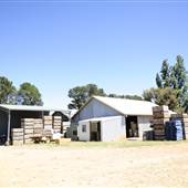 Hillside Orchard, Borenore