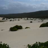 Killick Beach & Sand Dunes - Hat Head National Park