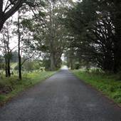 Kangaloon