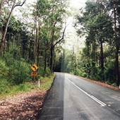 Lady Wakehurst Drive