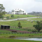 Lomar Park Stud