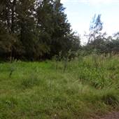 Navua Reserve - Grose River