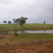 Paddys Creek Rd, Dubbo