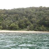 Portuguese Beach
