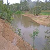 Whylandra Crossing, Dubbo