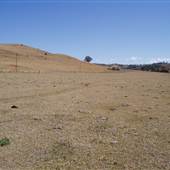 Picton Property