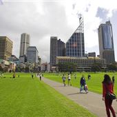The Domain