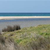 Shellharbour - The Shallows Coastal Reserve
