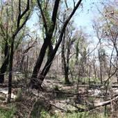 Ted Horwood Reserve