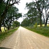 Hopeful Ranch Olive Farm File 5 Roads