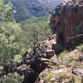 Arakoon Private Property