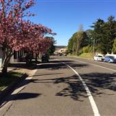 MT VICTORIA MAIN STREET