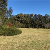 Bonna Point Reserve