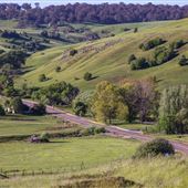 Taralga countryside