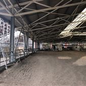 Sydney Showground - Horse Marshaling Arena