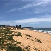 Narrabeen & North Narrabeen - Beaches & Lakes