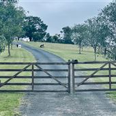 Tobruk Sheep Station - Shearing Shed & Event Venue